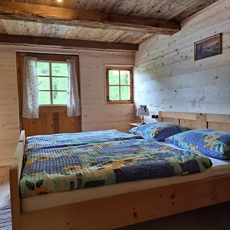Maxerhuette Auf Der Alfenalm Holiday home *