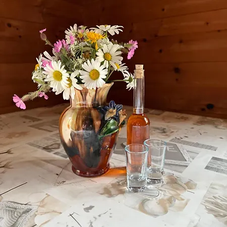 度假居 Maxerhuette Auf Der Alfenalm